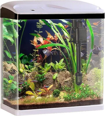Produktbild von Nanobecken: Nano-Aquarium-Komplett-Set mit LED-Beleuchtung, Pumpe und Filter, 25 l (Aquarium Komplettset, Kleines Komplettset, Mini)