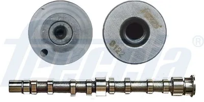 Produktbild von FRECCIA CM05-2276 Nockenwelle Auslass für VW GOLF VI (5K1) Golf V Schrägheck (1K1) TIGUAN (5N) Passat Variant (3C5) für AUDI A3 Sportback (8PA)