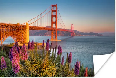 Produktbild von MuchoWow® Poster Blick auf die Golden Gate Bridge mit rosa Blumen 120x80 cm - Bilder