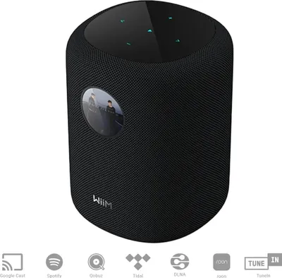 Image de 100w.assist.stream.wifi.bt.rj45. - Wiim