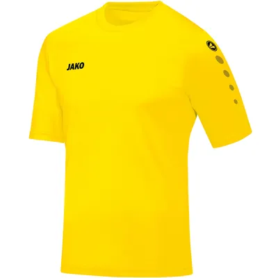Produktbild von Trikot Team KA JAKO