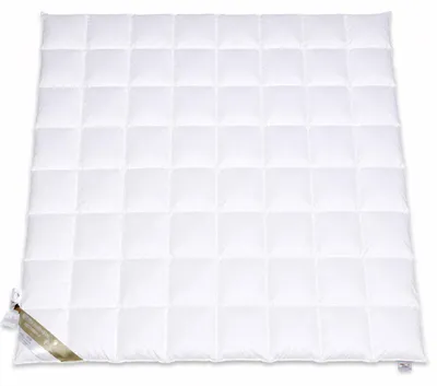 Produktbild von Betten Hofmann Franken Ganzjahres Daunenbett Daunendecke 8x8, 240x220  100% NEUE Daunen