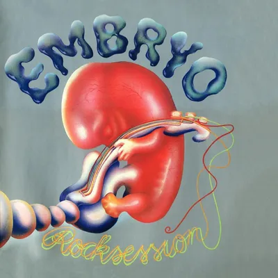 Produktbild von Embryo: Embryo: Rocksession (Limited Edition) (Colored Vinyl) - - (LP / R)