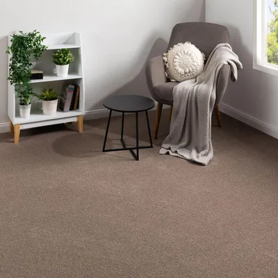 Produktbild von Steffensmeier Teppichboden Elba Meterware  | Auslegware für Kinderzimmer Wohnzimmer Schlafzimmer | Braun, Größe: 100x300 cm