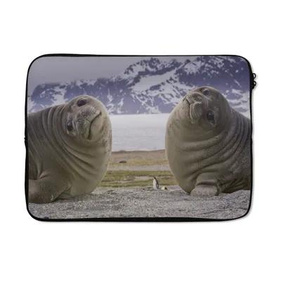 Produktbild von MuchoWow® Laptop Hülle 13 Zoll Robben - Lustig - Kinder - Jungen - Mädchen - Kinder Laptoptasche - Laptophülle - Sleeve - Rundumschutz