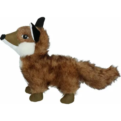 Image de Chien sauvage Fuchs