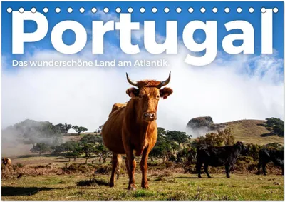 Produktbild von Portugal - Das wunderschöne Land am Atlantik. (Tischkalender 2026 DIN A5 quer), CALVENDO Monatskalender
