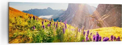 Produktbild von Bild auf Leinwand - Leinwandbild - Berge Wiese Blumen - 160x50cm - Wand Bild - Wanddeko - Leinwanddruck - Bilder - Kunstdruck - Wanddekoration - Leinwand bilder - Wandkunst - AB160x50-4008