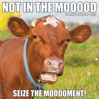 Produktbild von Not in the Mooood 2026 Wall Calendar