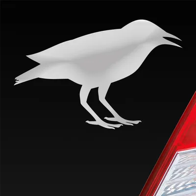 Produktbild von Auto Aufkleber Rabe Vogel Bird Vogelfreund 15x10 cm Silber Sticker Heckscheibenaufkleber