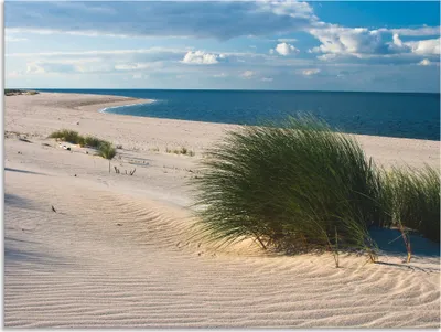 Produktbild von ARTland Wandbild Alu für Innen & Outdoor Gras am Strand Größe: 60x45 cm