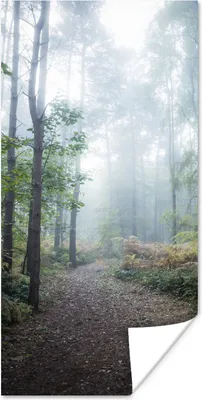 Produktbild von MuchoWow® Poster Wald - Nebel - Weg 20x40 cm - Plakat - Foto