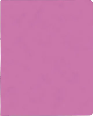 Produktbild von BRUNNEN Ringbuch A4 FACT!plus 2-Ringe 15mm pink 106550922