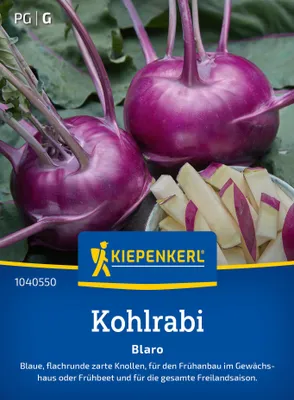Artikelbild 2 von 'Kohlrabi Blaro' aus der Kategorie Kohlrabisamen