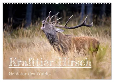 Produktbild von Krafttier Hirsch (Wandkalender 2027 DIN A2 quer), CALVENDO Monatskalender