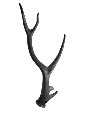 Produktbild von Geweih Tischdeko Hirschgeweihmatt schwarz 63x27x9cm aus Polyresin