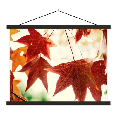 Produktbild von MuchoWow® Textilposter Herbstblätter - November - Natur - Bäume 150x113 cm mit holzfarbenen Rahmen - Poster