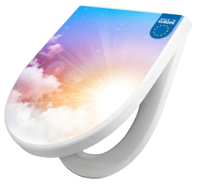 Produktbild von WC Sitz mit Absenkautomatik D Form Motiv Vögel am Himmel [TDW3 12845]