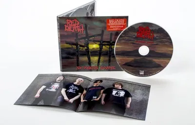 Produktbild von Sickness Divine