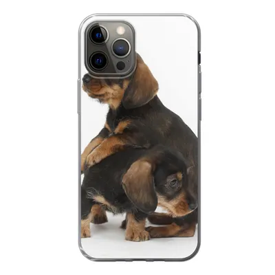 Produktbild von MuchoWow® Handyhülle Schutzhülle Hülle für iPhone 13 Pro Studiofoto von zwei süßen Dackeln Silikon Softcase Handy Hülle - Handy-Tasche