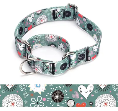 Produktbild von Martingale Hundehalsband Nylon verstellbar M: 36-45 cm A85NO14