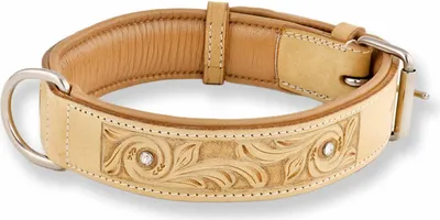Produktbild von Monkimau Hundehalsband aus Leder Halsband für Hunde Lederhalsband beige glitzer S-M