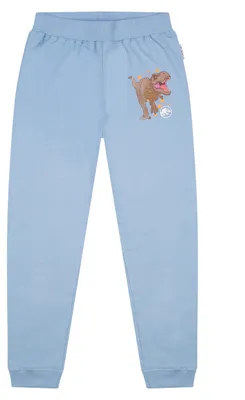 Produktbild von Jurassic World Jungen Jogging-Hose Kinder Trainingshose Hell-Blau     , Größe:116