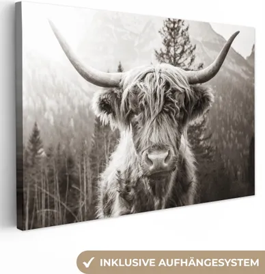 Produktbild von OneMillionCanvasses® - Plátno - Skotský horal - Kráva - Zvířata - Černá - Bílá, nástěnná malba, nástěnné dekorace obrazy obývací pokoj, 120x80cm