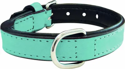 Produktbild von Hundehalsband Gloria 30 cm gepolstertes Leder Blau