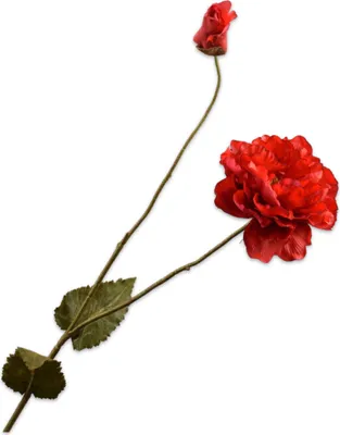 Produktbild von Silk-ka Kunstblume-Seidenblume Mohn rot 109 cm