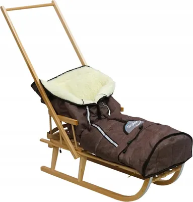 Produktbild von Holzschlitten für Kinder mit Rückenlehne Rodelschlitten Davoser Schlitten aus Holz mit einem Sicherheitsgurt Rückenlehne Pusher Winterfußsack