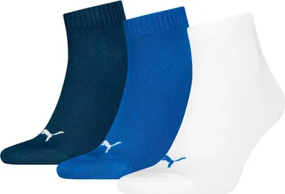 Produktbild von Puma WIP 701230337-002 in blue combo color size 39-42