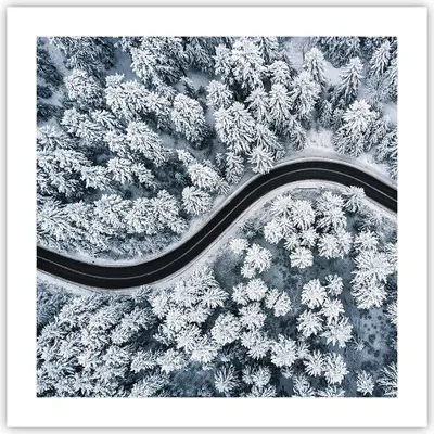 Produktbild von Poster - Poster ohne Rahmen - Wald Winter Straße - 50x50 cm - Wand Bild - Wanddeko - Wandbilder - Kunstposter - Wandposter - Bilder - Kunstdruck - Wanddekoration - Wandbild - P2XAC50x50-5010