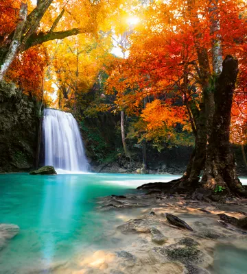 Produktbild von Fototapete - Deep Forest Waterfall 225x250cm - Vliestapete