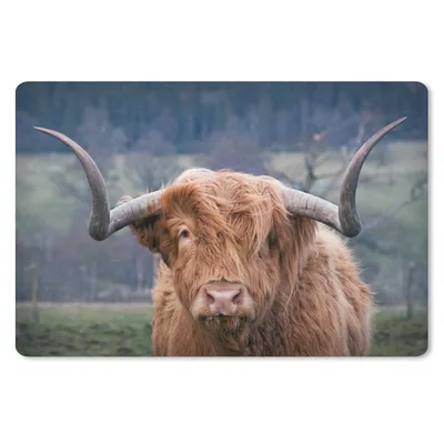 Produktbild von MuchoWow® Schreibtischunterlage Schottischer Highlander - Hörner - Berg 60x40 cm - XXL Mauspad - Großes Mauspad