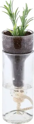 Produktbild von Esschert Design AGG46 Selbstbewässernder Übertopf für Flaschen, transparent