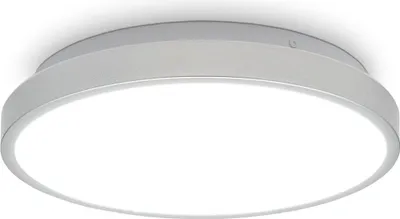 Image de B.K.Licht Plafonnier LED 12 Watt spéciale salle de bain I lampe de salle de bain I Ø29 cm I lumière blanche neutre 4000 K I protection contre les éclaboussures IP44 I cadre argenté