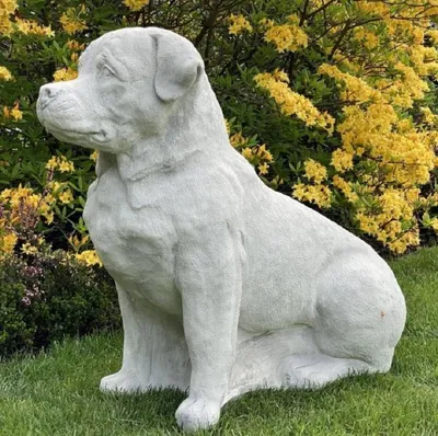 Obrázok produktu pre Casa Padrino Záhradná dekorácia Socha Zlatý retriever pes sivý 55 x 32 x v. 77 cm - Elegantná záhradná dekorácia Kamenná figúra - Dekoratívna figúra zvieraťa - Záhradné dekorácie