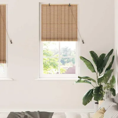 Produktbild von Möbel Fensterjalousien und -schattierungen Hellbraun 100 x 220 cm - Rollos 42006901