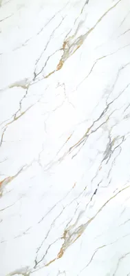 Produktbild von PVC Wandpaneel Duschrückwand Carrara Gold in Marmor-Optik Hochglanz - 122x244cm