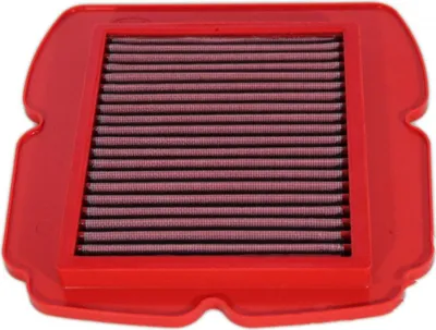 Immagine prodotto di Filtro aria BMC 248-253mm FM343/04