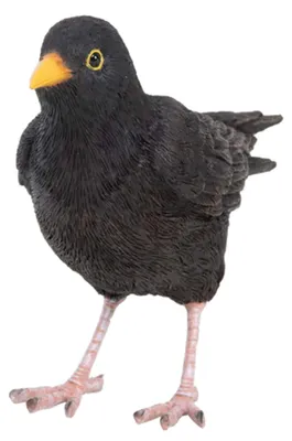 Produktbild von Amsel Figur wetterfest für Balkon Terrasse Garten und stilvolle Deko außen