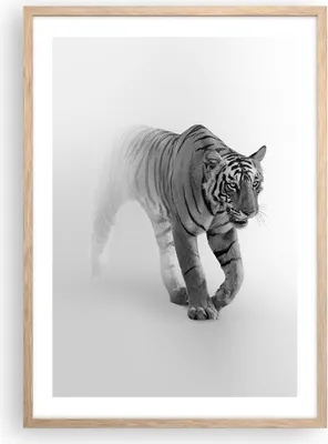 Produktbild von Gerahmtes Poster - Rahmen in heller Eiche - Tiger Monochrom Porträt - 50x70 cm - Wand Bild - Wanddeko - Wandbilder - Kunstposter - Wandposter - Bilderrahmen - Bilder - Kunstdruck - P2NPA50x70-4626