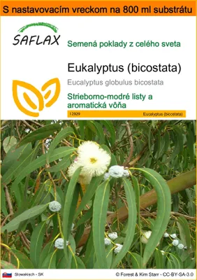 Obrázok produktu pre SAFLAX Garden in the bag - Eukalyptus (bicostata) - Eucalyptus globulus bicostata - 100 Semená - S pestovateľským substrátom v praktickom samostaviteľnom vrecku