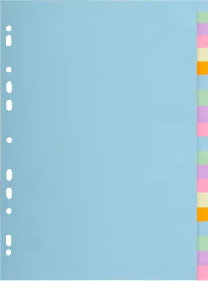 Produktbild von Exacompta 20x Register A4+, RCkarton 170g, 20 Taben blanko Farben sort. - 2620E