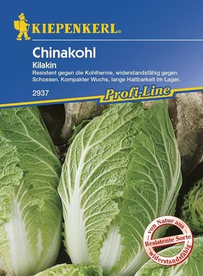 Produktbild von [STREICHUNG 2024] Chinakohl Kilakin F1 | Chinakohlsamen von Kiepenkerl