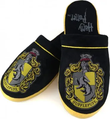 Obrázek produktu pro Bačkory uni Harry Potter 1 Mrzimor (42145)