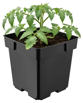 Image de Garronda - Pot de fleurs carré en plastique avec trous de drainage pour le jardin (noir, 14 x 14 x 14 cm (2 L)) GD-KW-S