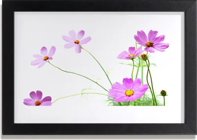 Produktbild von Bild 30x20 MDF-Rahmen Wandkunst Blumen Pflanzen