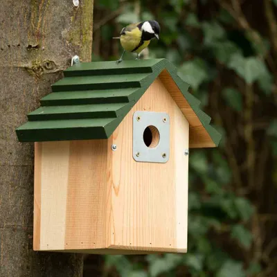Image de CJWILDLIFE : Nichoir pour oiseaux, diamètre 34 mm
